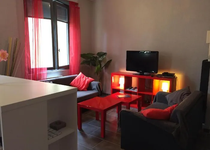 Appartement Le Logis Le Pic Du Midi Et Le Logis Le Col D'aspin *