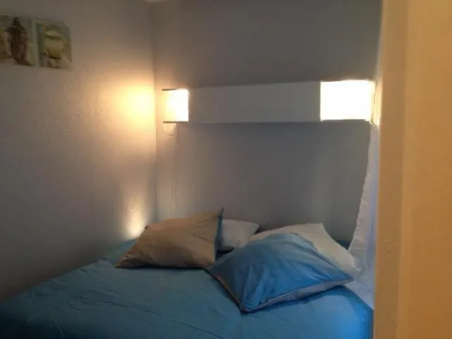 Le Logis Le Pic Du Midi Et Le Logis Le Col D'aspin Appartement *