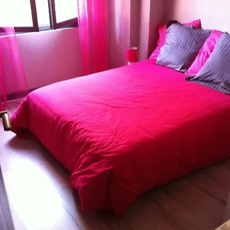 公寓 Le Logis Le Pic Du Midi Et Le Logis Le Col D'aspin *