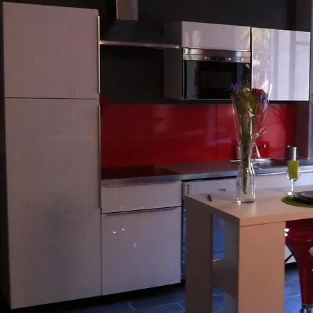 Le Logis Le Pic Du Midi Et Le Logis Le Col D'aspin 公寓 *