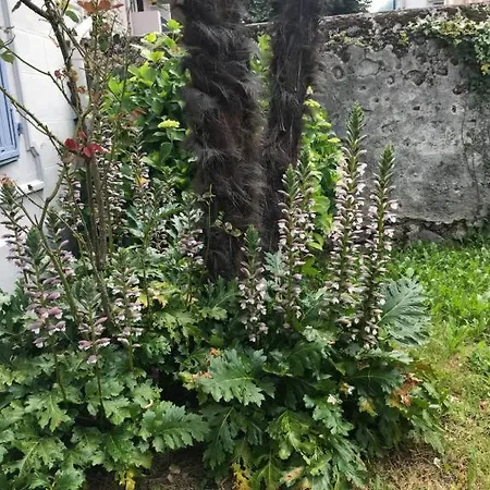 公寓 Le Logis Le Pic Du Midi Et Le Logis Le Col D'aspin 卢德
