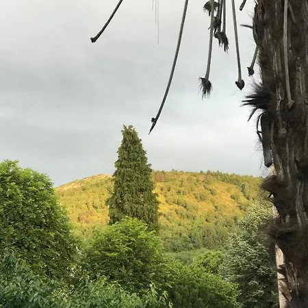 公寓 Le Logis Le Pic Du Midi Et Le Logis Le Col D'aspin