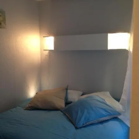 Le Logis Le Pic Du Midi Et Le Logis Le Col D'aspin 公寓 *