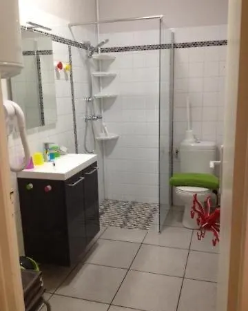 公寓 Le Logis Le Pic Du Midi Et Le Logis Le Col D'aspin *