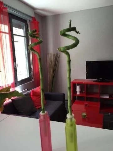 Apartment Le Logis Le Pic Du Midi Et Le Logis Le Col D'aspin Lourdes