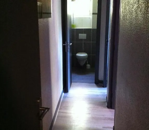 Le Logis Le Pic Du Midi Et Le Logis Le Col D'aspin * ルルド