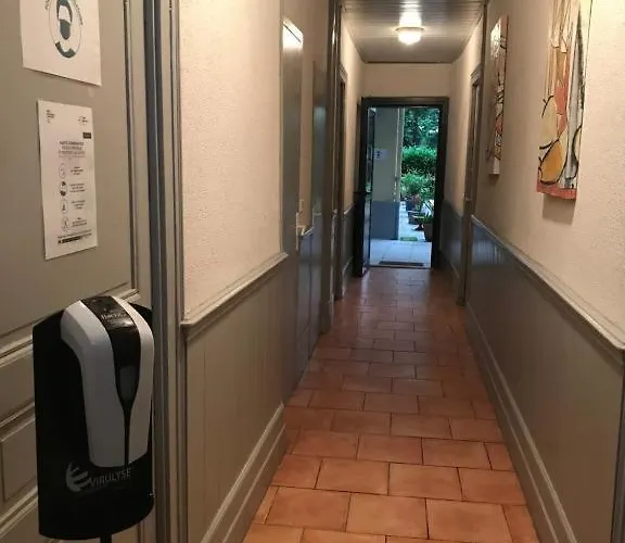 Le Logis Le Pic Du Midi Et Le Logis Le Col D'aspin ルルド