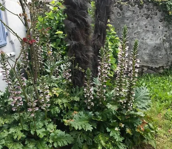 アパート Le Logis Le Pic Du Midi Et Le Logis Le Col D'aspin ルルド